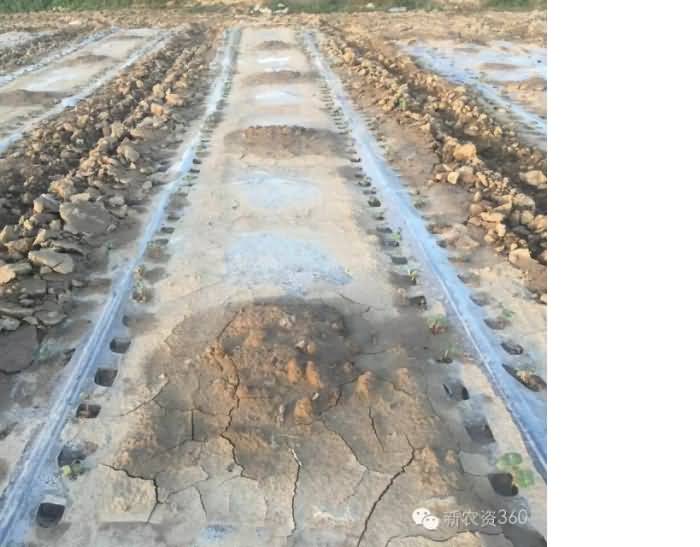 ̸��ɹٷ���վ - רҵ��������ƽ̨