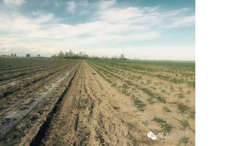 ̸��ɹٷ���վ - רҵ��������ƽ̨