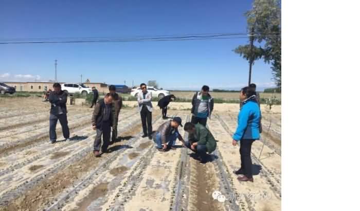 ̸��ɹٷ���վ - רҵ��������ƽ̨