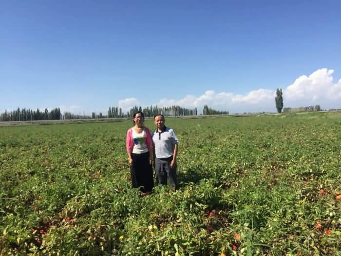 ̸��ɹٷ���վ - רҵ��������ƽ̨