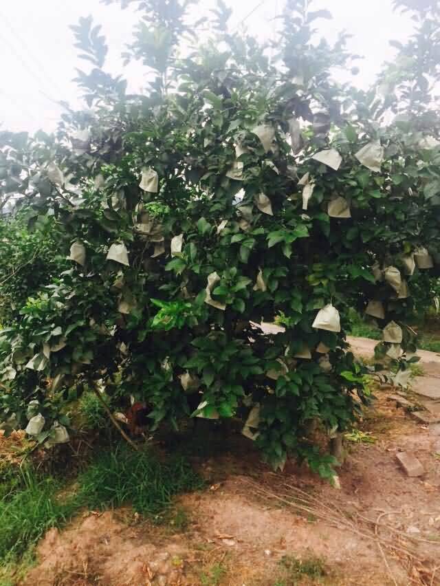 ̸��ɹٷ���վ - רҵ��������ƽ̨