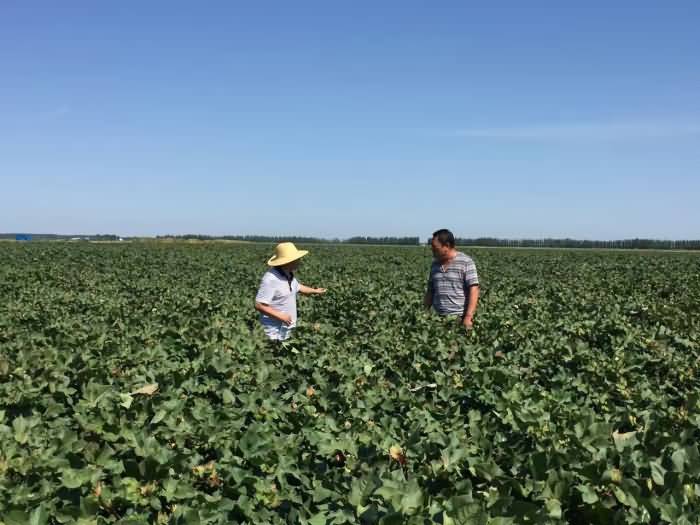 ̸��ɹٷ���վ - רҵ��������ƽ̨