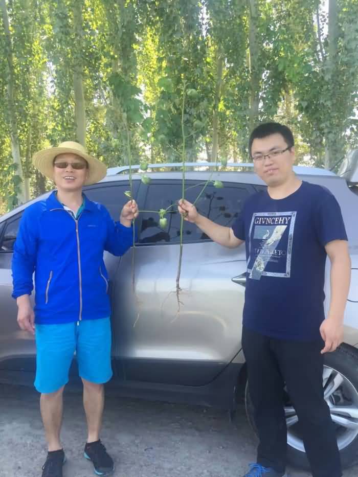 ̸��ɹٷ���վ - רҵ��������ƽ̨