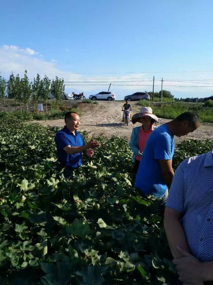 ̸��ɹٷ���վ - רҵ��������ƽ̨