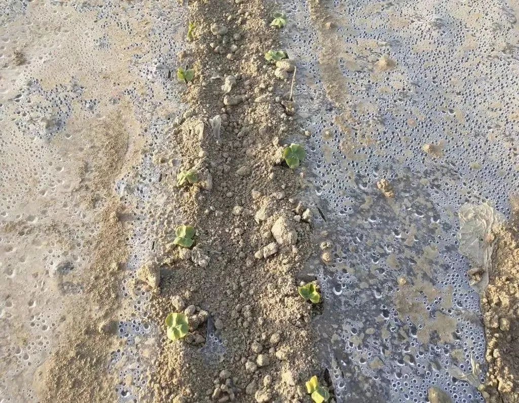 微信图片_20220309215832.jpg 微信图片_20220309215832.jpg