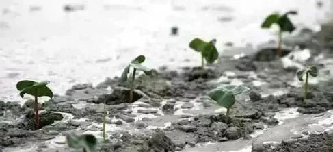 微信图片_20220309215832.jpg 微信图片_20220309215832.jpg